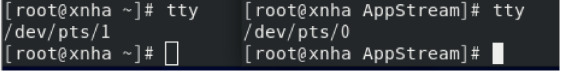 image-20250806160649954